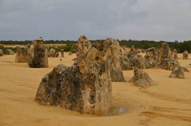 Nambung, Avustralya 2 Haziran 2025: Batı Avustralya 'nın Pinnacles Çölü
