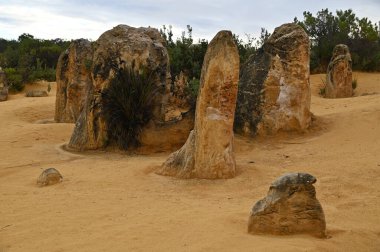Nambung, Avustralya 2 Haziran 2025: Batı Avustralya 'nın Pinnacles Çölü