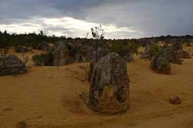 Nambung, Avustralya 2 Haziran 2025: Batı Avustralya 'nın Pinnacles Çölü