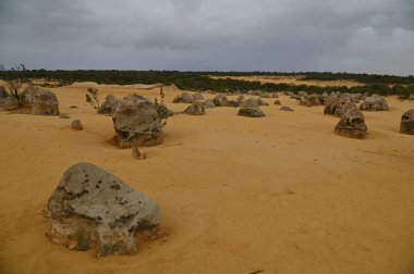 Nambung, Avustralya 2 Haziran 2025: Batı Avustralya 'nın Pinnacles Çölü