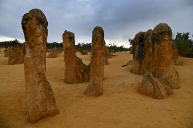 Nambung, Avustralya 2 Haziran 2025: Batı Avustralya 'nın Pinnacles Çölü
