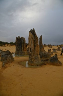 Nambung, Avustralya 2 Haziran 2025: Batı Avustralya 'nın Pinnacles Çölü