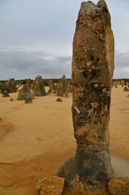Nambung, Avustralya 2 Haziran 2025: Batı Avustralya 'nın Pinnacles Çölü