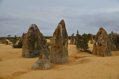 Nambung, Avustralya 2 Haziran 2025: Batı Avustralya 'nın Pinnacles Çölü