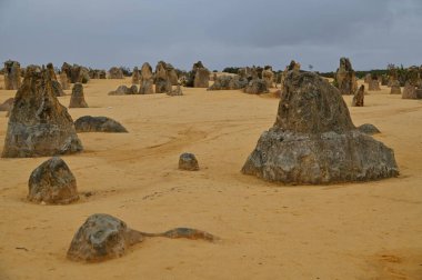 Nambung, Avustralya 2 Haziran 2025: Batı Avustralya 'nın Pinnacles Çölü