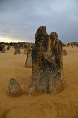 Nambung, Avustralya 2 Haziran 2025: Batı Avustralya 'nın Pinnacles Çölü
