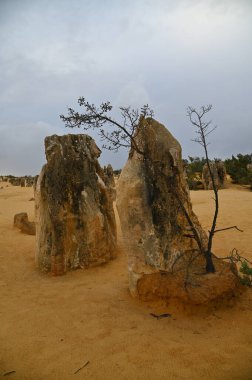 Nambung, Avustralya 2 Haziran 2025: Batı Avustralya 'nın Pinnacles Çölü
