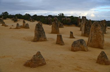 Nambung, Avustralya 2 Haziran 2025: Batı Avustralya 'nın Pinnacles Çölü