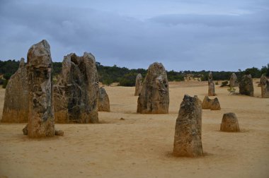 Nambung, Avustralya 2 Haziran 2025: Batı Avustralya 'nın Pinnacles Çölü
