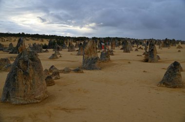 Nambung, Avustralya 2 Haziran 2025: Batı Avustralya 'nın Pinnacles Çölü