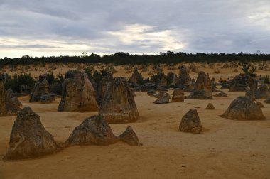 Nambung, Avustralya 2 Haziran 2025: Batı Avustralya 'nın Pinnacles Çölü