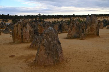 Nambung, Avustralya 2 Haziran 2025: Batı Avustralya 'nın Pinnacles Çölü