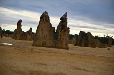 Nambung, Avustralya 2 Haziran 2025: Batı Avustralya 'nın Pinnacles Çölü