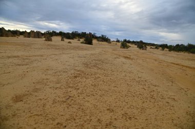Nambung, Avustralya 2 Haziran 2025: Batı Avustralya 'nın Pinnacles Çölü