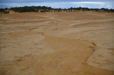 Nambung, Avustralya 2 Haziran 2025: Batı Avustralya 'nın Pinnacles Çölü