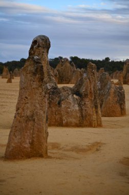 Nambung, Avustralya 2 Haziran 2025: Batı Avustralya 'nın Pinnacles Çölü