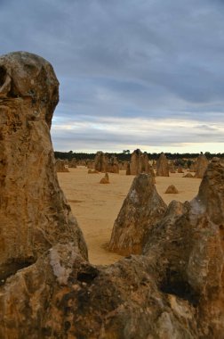 Nambung, Avustralya 2 Haziran 2025: Batı Avustralya 'nın Pinnacles Çölü