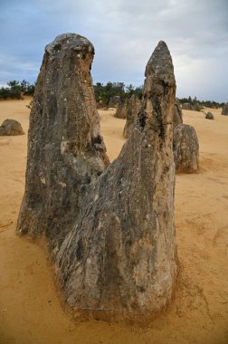 Nambung, Avustralya 2 Haziran 2025: Batı Avustralya 'nın Pinnacles Çölü