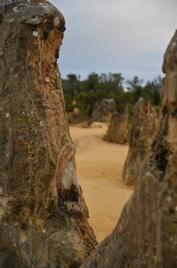 Nambung, Avustralya 2 Haziran 2025: Batı Avustralya 'nın Pinnacles Çölü