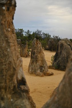 Nambung, Avustralya 2 Haziran 2025: Batı Avustralya 'nın Pinnacles Çölü
