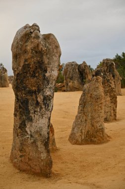 Nambung, Avustralya 2 Haziran 2025: Batı Avustralya 'nın Pinnacles Çölü