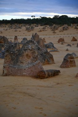Nambung, Avustralya 2 Haziran 2025: Batı Avustralya 'nın Pinnacles Çölü