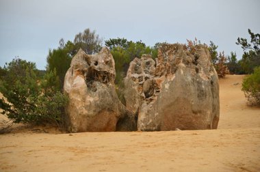Nambung, Avustralya 2 Haziran 2025: Batı Avustralya 'nın Pinnacles Çölü