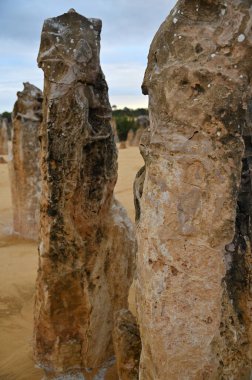 Nambung, Avustralya 2 Haziran 2025: Batı Avustralya 'nın Pinnacles Çölü