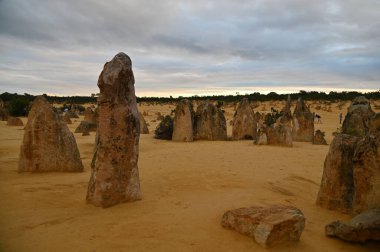 Nambung, Avustralya 2 Haziran 2025: Batı Avustralya 'nın Pinnacles Çölü