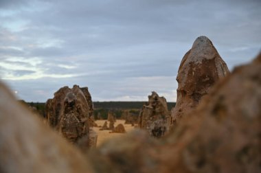 Nambung, Avustralya 2 Haziran 2025: Batı Avustralya 'nın Pinnacles Çölü