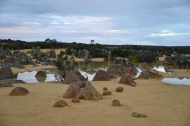Nambung, Avustralya 2 Haziran 2025: Batı Avustralya 'nın Pinnacles Çölü