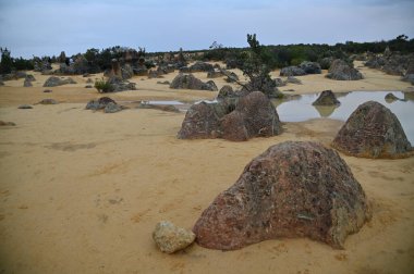 Nambung, Avustralya 2 Haziran 2025: Batı Avustralya 'nın Pinnacles Çölü