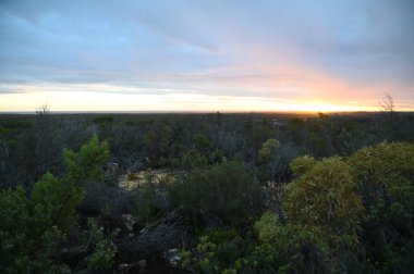 Nambung, Avustralya 2 Haziran 2025: Batı Avustralya 'nın Pinnacles Çölü