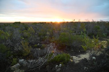 Nambung, Avustralya 2 Haziran 2025: Batı Avustralya 'nın Pinnacles Çölü