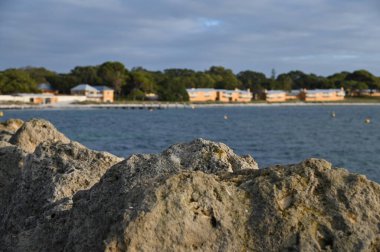 Rottnest Adası, Avustralya 2 Haziran 2025: Batı Avustralya 'nın Rottnest Adası