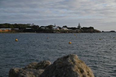 Rottnest Adası, Avustralya 2 Haziran 2025: Batı Avustralya 'nın Rottnest Adası