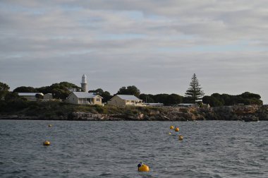 Rottnest Adası, Avustralya 2 Haziran 2025: Batı Avustralya 'nın Rottnest Adası
