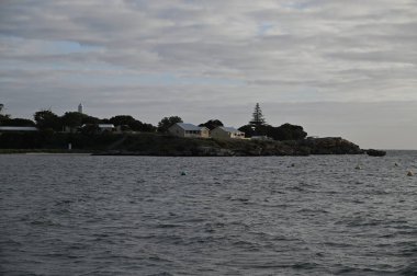 Rottnest Adası, Avustralya 2 Haziran 2025: Batı Avustralya 'nın Rottnest Adası
