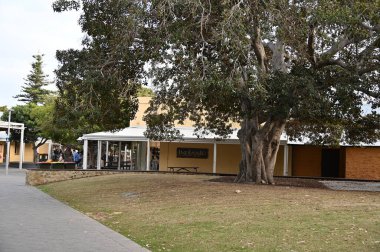 Rottnest Adası, Avustralya 2 Haziran 2025: Batı Avustralya 'nın Rottnest Adası