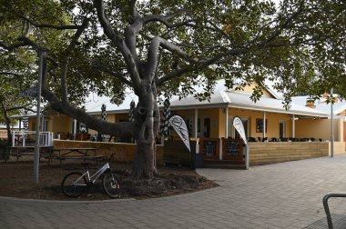 Rottnest Adası, Avustralya 2 Haziran 2025: Batı Avustralya 'nın Rottnest Adası
