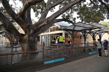 Rottnest Adası, Avustralya 2 Haziran 2025: Batı Avustralya 'nın Rottnest Adası