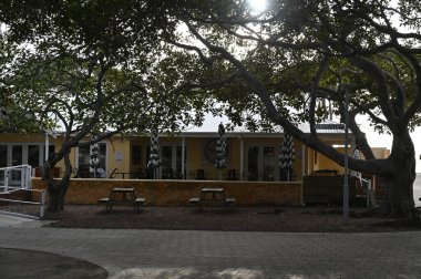 Rottnest Adası, Avustralya 2 Haziran 2025: Batı Avustralya 'nın Rottnest Adası