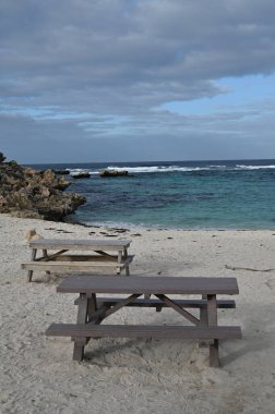 Rottnest Adası, Avustralya 2 Haziran 2025: Batı Avustralya 'nın Rottnest Adası