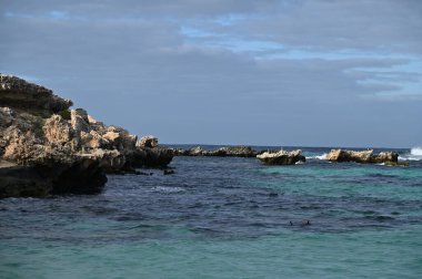 Rottnest Adası, Avustralya 2 Haziran 2025: Batı Avustralya 'nın Rottnest Adası