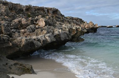 Rottnest Adası, Avustralya 2 Haziran 2025: Batı Avustralya 'nın Rottnest Adası
