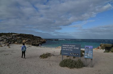 Rottnest Adası, Avustralya 2 Haziran 2025: Batı Avustralya 'nın Rottnest Adası