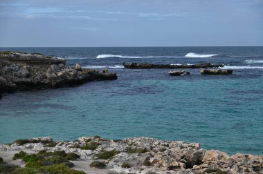 Rottnest Adası, Avustralya 2 Haziran 2025: Batı Avustralya 'nın Rottnest Adası