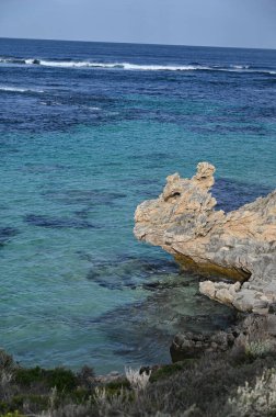 Rottnest Adası, Avustralya 2 Haziran 2025: Batı Avustralya 'nın Rottnest Adası