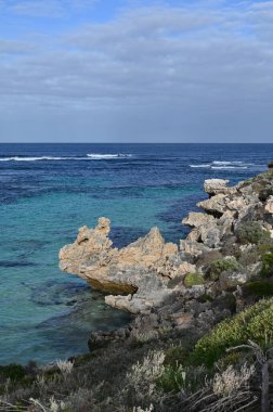 Rottnest Adası, Avustralya 2 Haziran 2025: Batı Avustralya 'nın Rottnest Adası