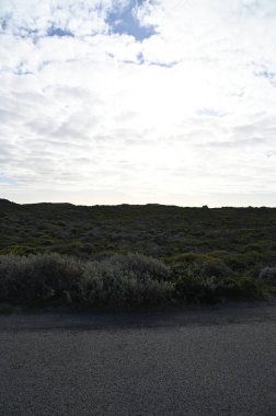 Rottnest Adası, Avustralya 2 Haziran 2025: Batı Avustralya 'nın Rottnest Adası